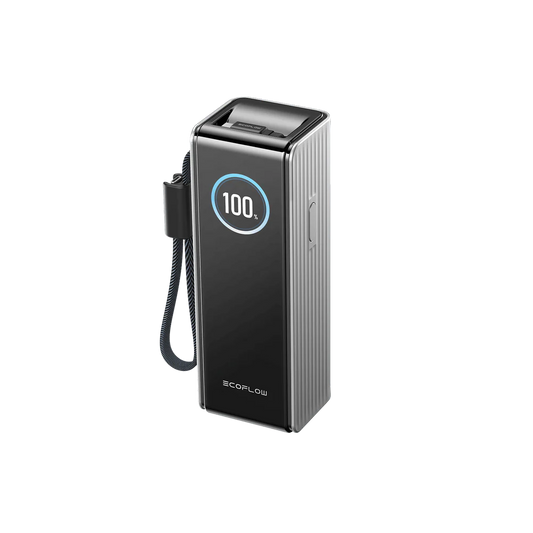 RAPID 25K Build-in cable Silver